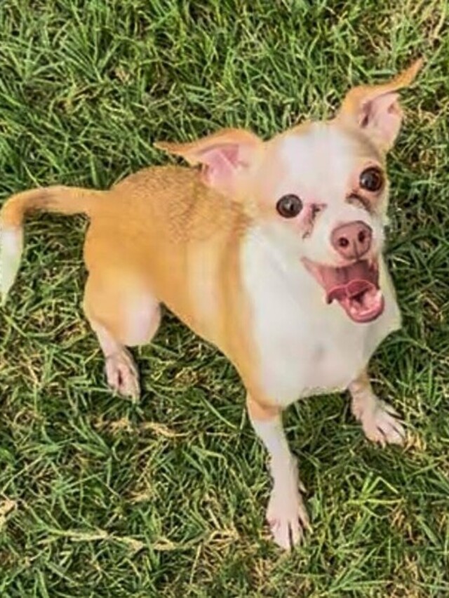 Bloom_Private_Lessons_cropped