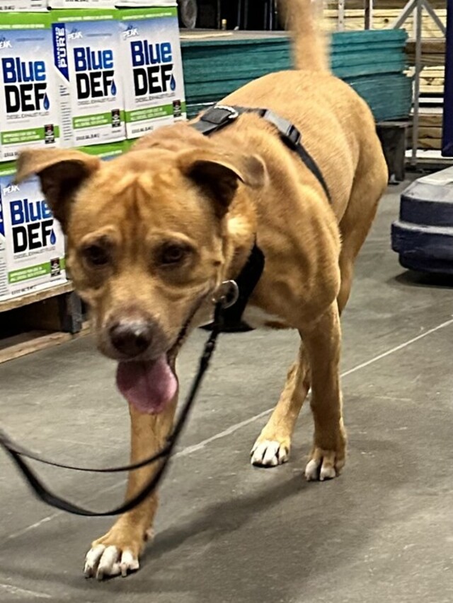 Quincy_Private_Lessons